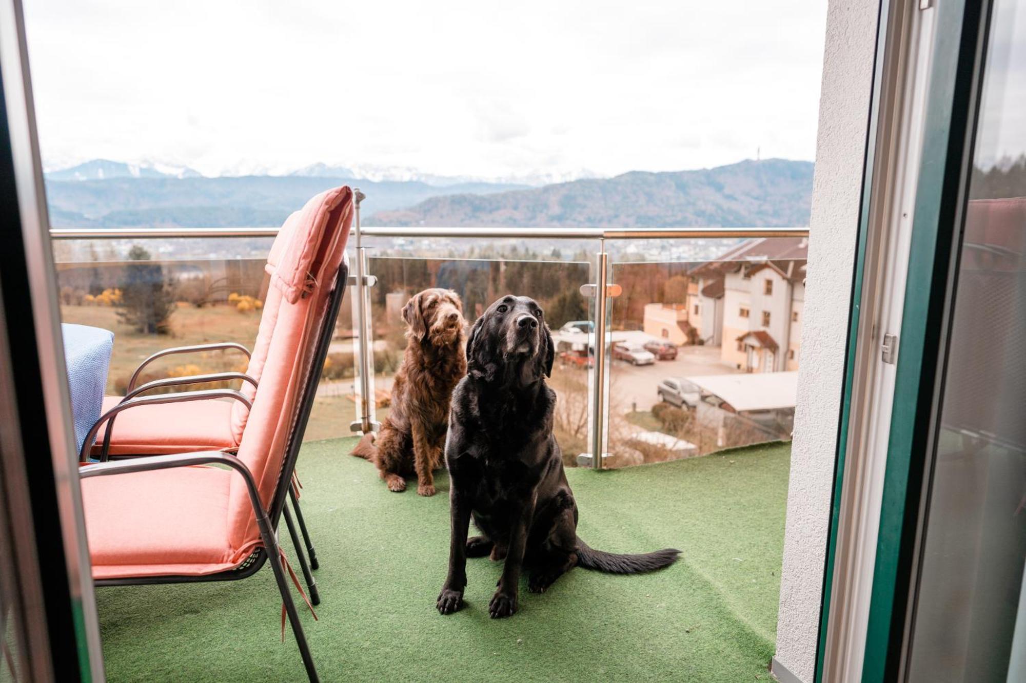 Urlaub Fuer Mensch Und Tier - Appartements Pirkhof Pörtschach am Wörthersee Esterno foto